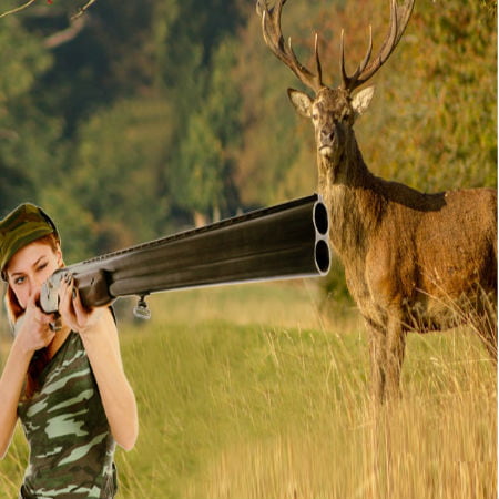 Hunting License Fees