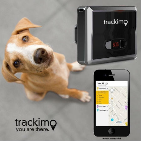 can you get a gps tracker for your dog