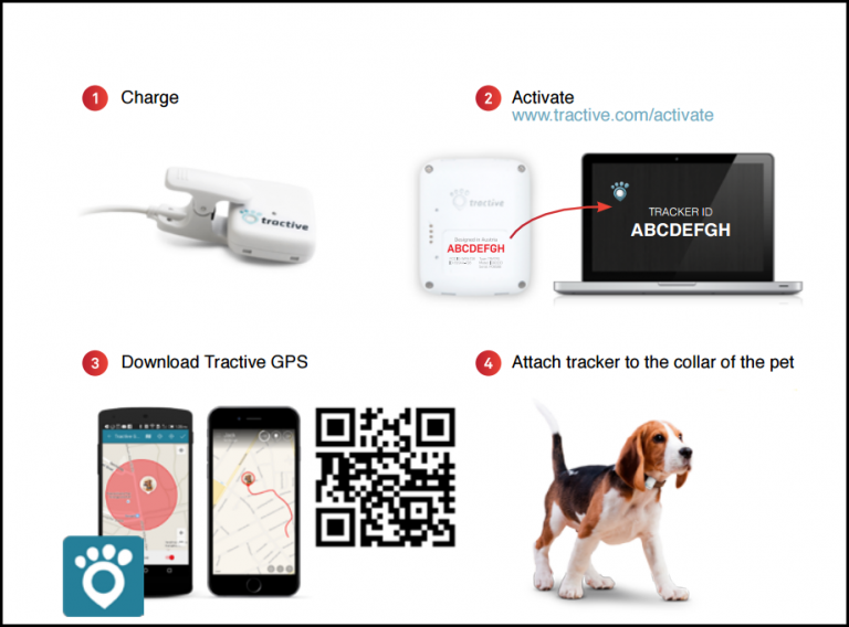 Ensuring Pet Safety with GPS Pet Tracker Trackimo