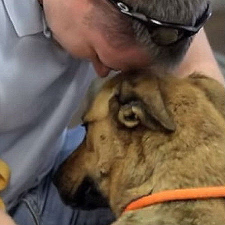 Man Reunites with His Dog