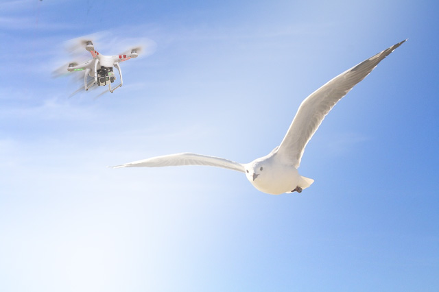 Drones in the Sky