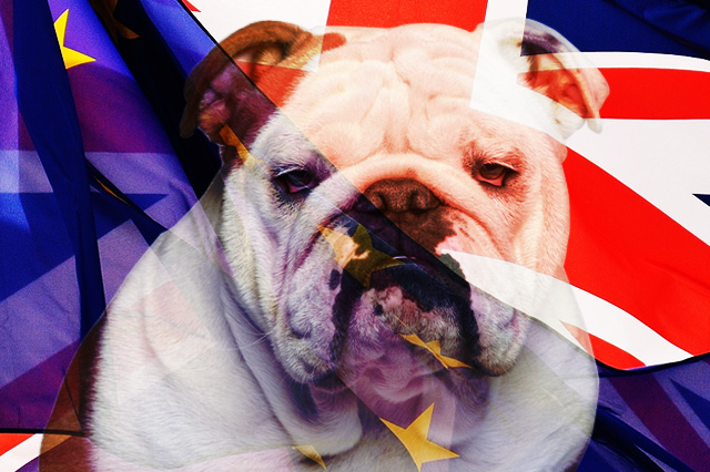 Lost Pets in United Kingdom