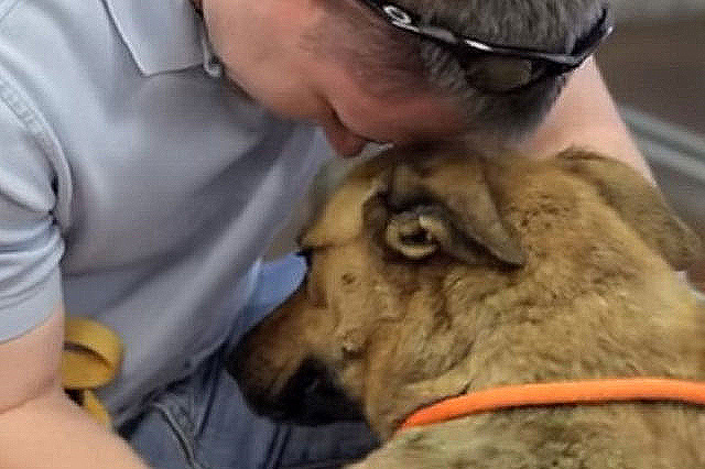 Pet Reunion