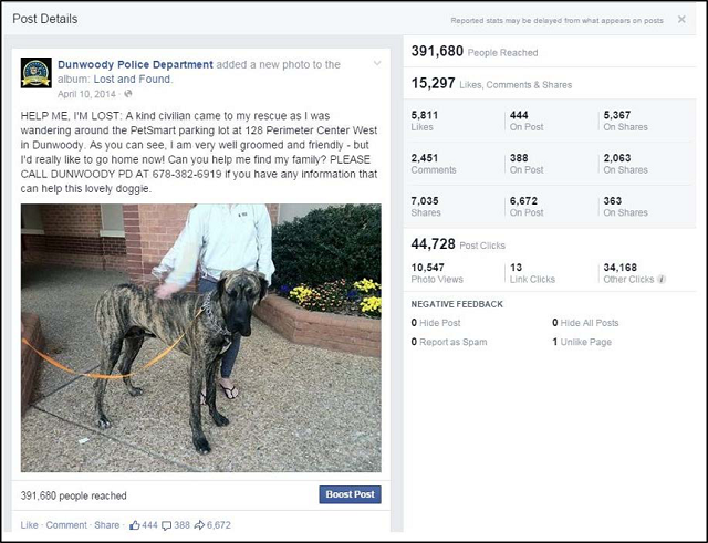 Information about a lost dog Finding Lost Dog
