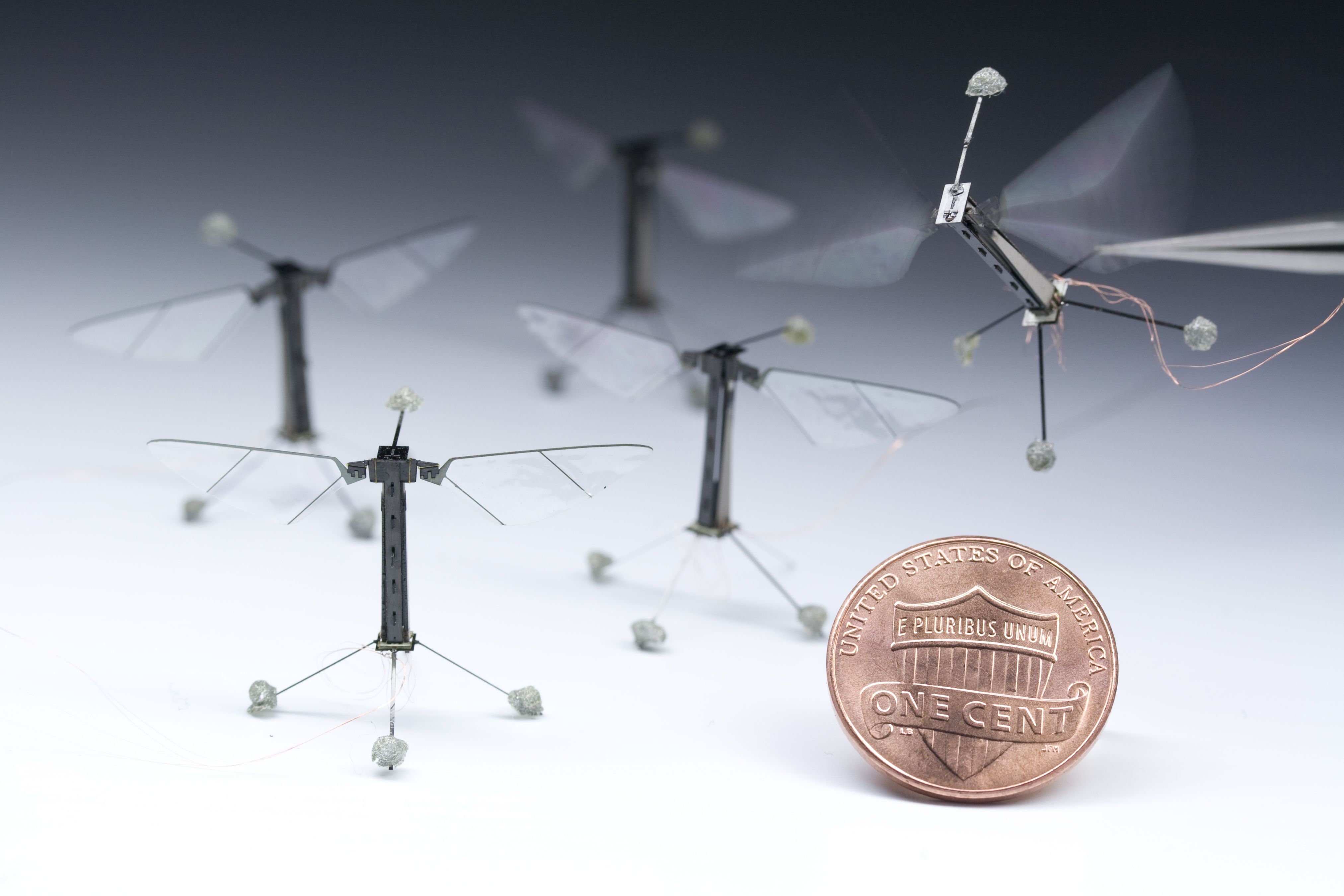 Known as RoboBee Small Robot