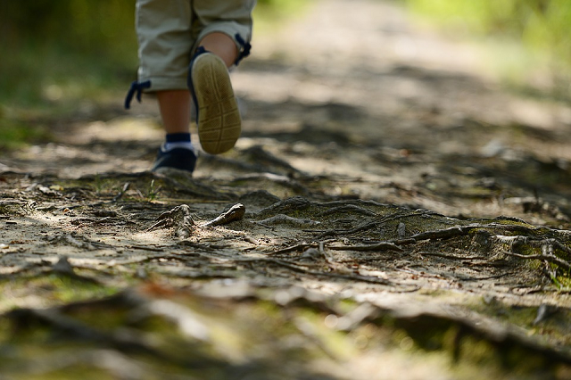 Tracking a Wandering Child Wandering Kid
