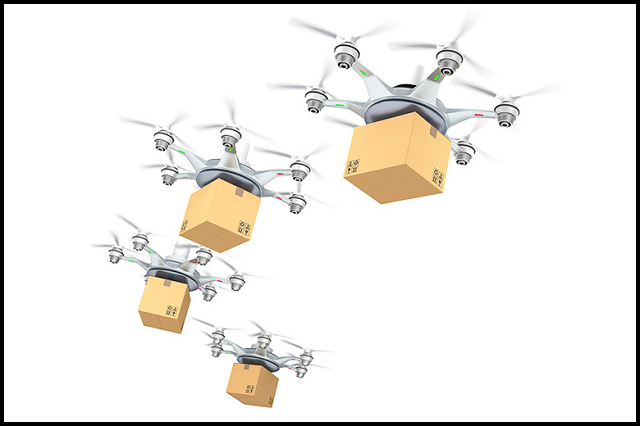 Drone Delivery Program