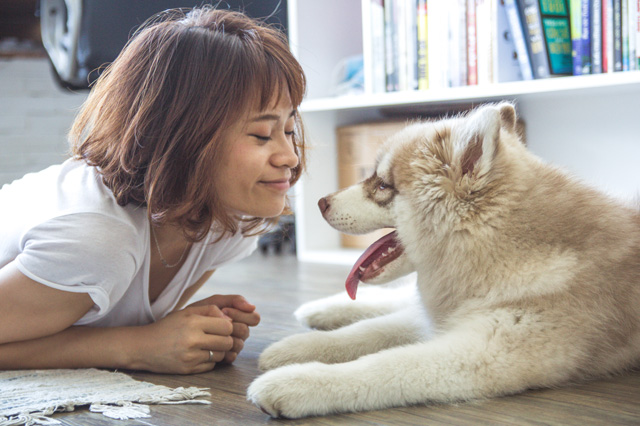 GPS Pet Tracking Device