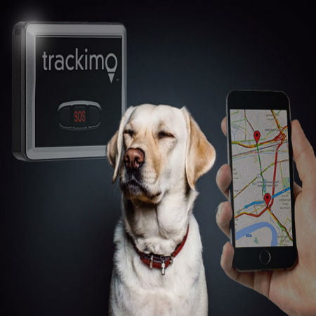 A Buyers Guide to Pet GPS Trackers