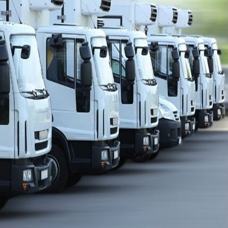 Fleet of Trucks