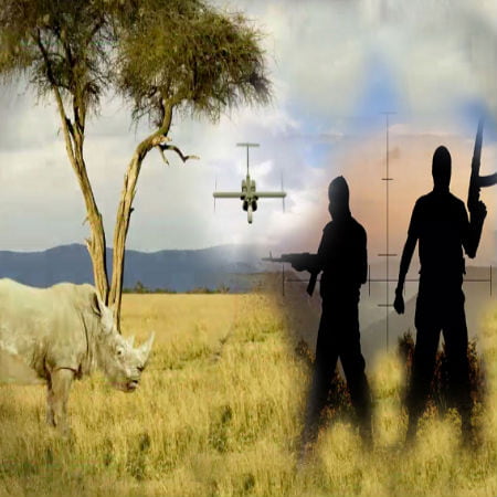 How Drones Are Working to Prevent Hurting Wildlife