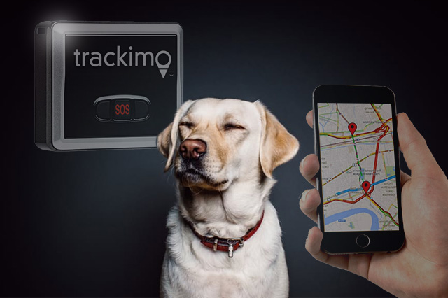 Pet on sale tracking device