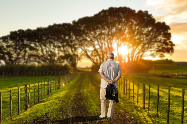 Wandering Elderly