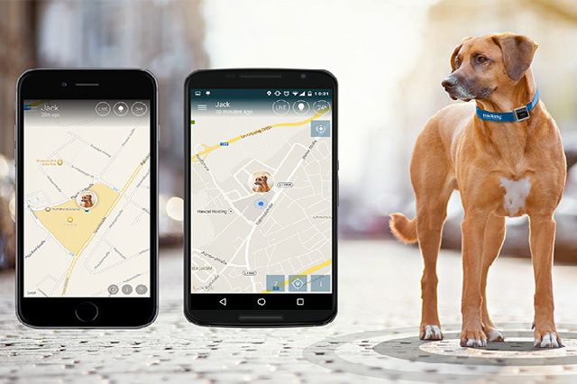GPS-Pet-Trackers