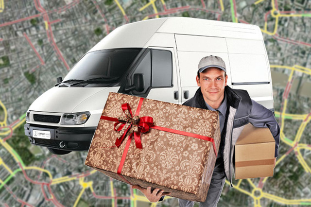 GPS Delivery Trackers