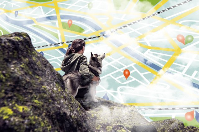 GPS Tracking for Dog Walkers