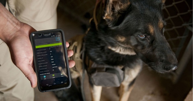 Tracking a police dog GPS Tracker for Dogs
