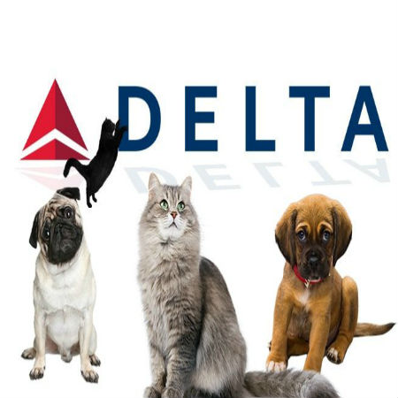 GPS Tracking for Airline Pet Service