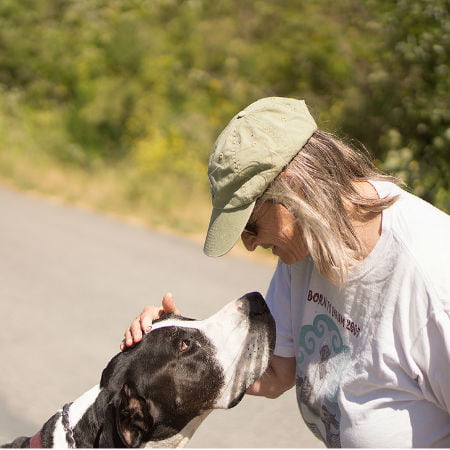 Dog-Friendly Fourth of July Tips