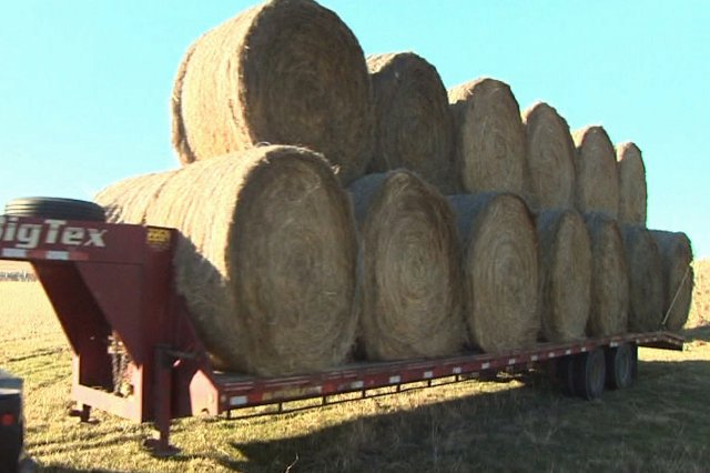 Finding GPS in a Haystack