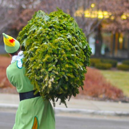 Person Dressed as an Elf Carrying Pine Tree