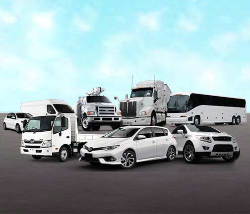 Business Fleet Insurance